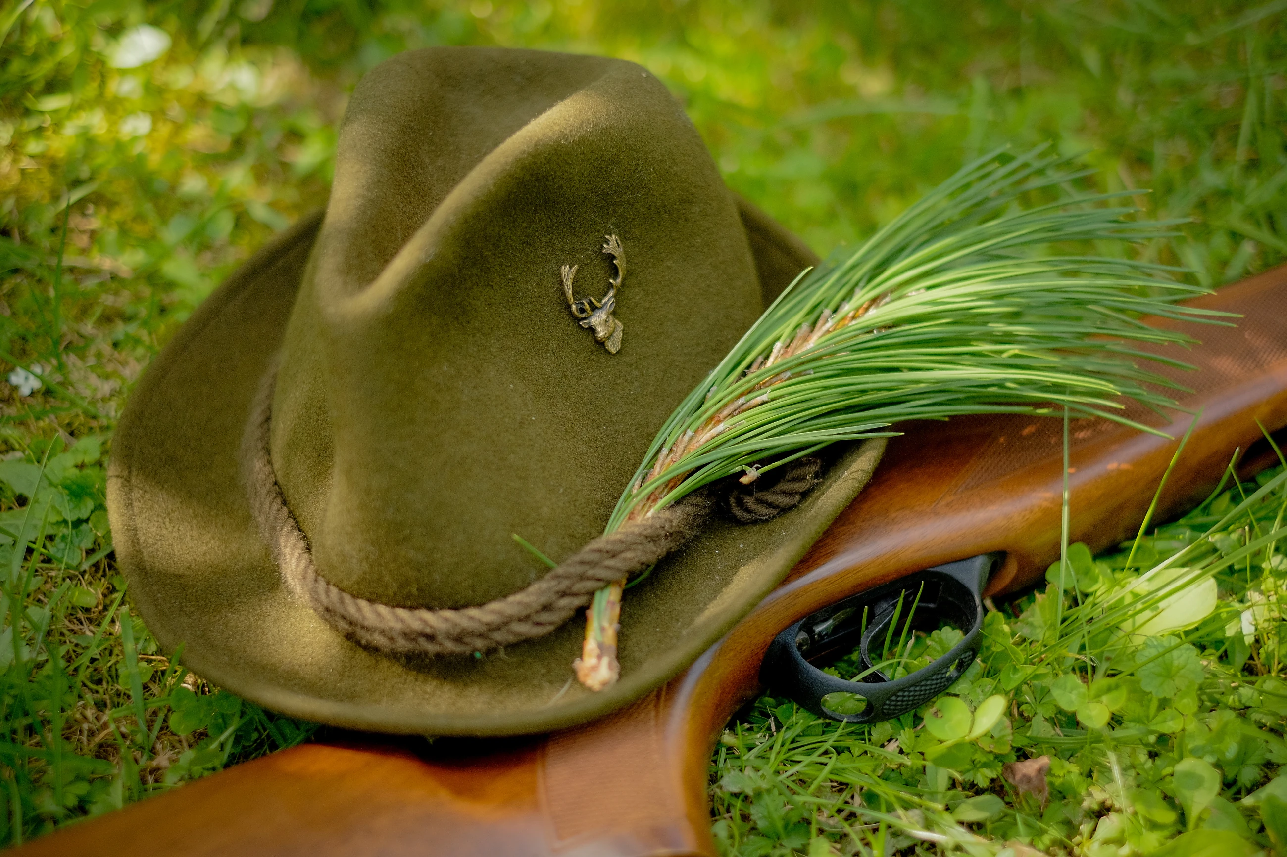 Revierübergreifender Sommeransitz